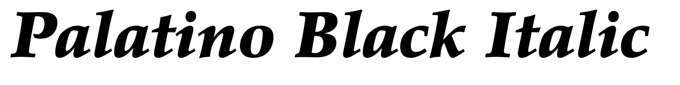 Palatino Black Italic